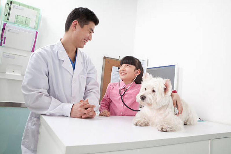 Veterinário para Cachorros Agendar Novo Horizonte - Veterinário Especializado em Felinos