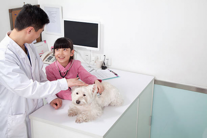 Veterinário para Cachorros Vida Nova - Veterinário Cães e Gatos 24h