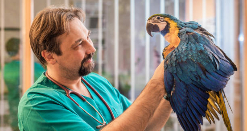 Veterinário para Silvestres Marcar Imbassai - Veterinário para Papagaio